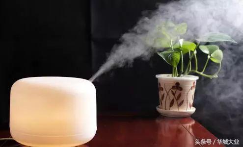 这个夏天没了它,过得很难受