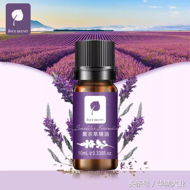 这个夏天没了它,过得很难受