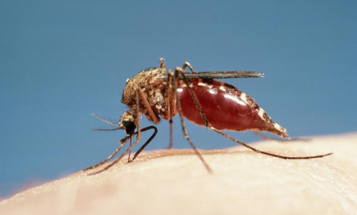 o型血防蚊的方法,o型血擦什么预防蚊子咬