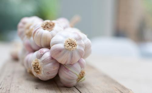 o型血防蚊的方法,o型血擦什么预防蚊子咬