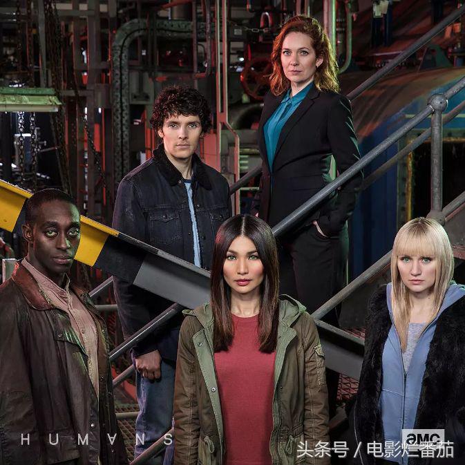 上半年高分美剧,几乎零差评的英剧