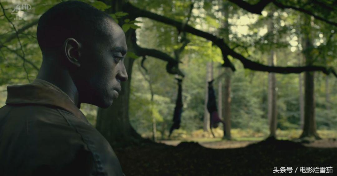 上半年高分美剧,几乎零差评的英剧