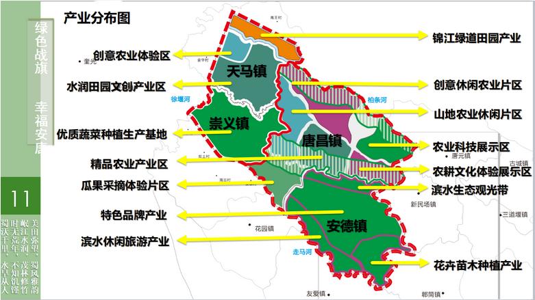 专家助力乡村振兴,专家建言献策助力乡村振兴