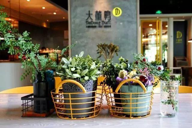 大董怎么应对高端餐饮的不利竞争,大董餐饮经营理念