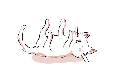 睡得正香脚抽筋了,为什么睡觉抽筋频繁