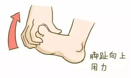 睡得正香脚抽筋了,为什么睡觉抽筋频繁