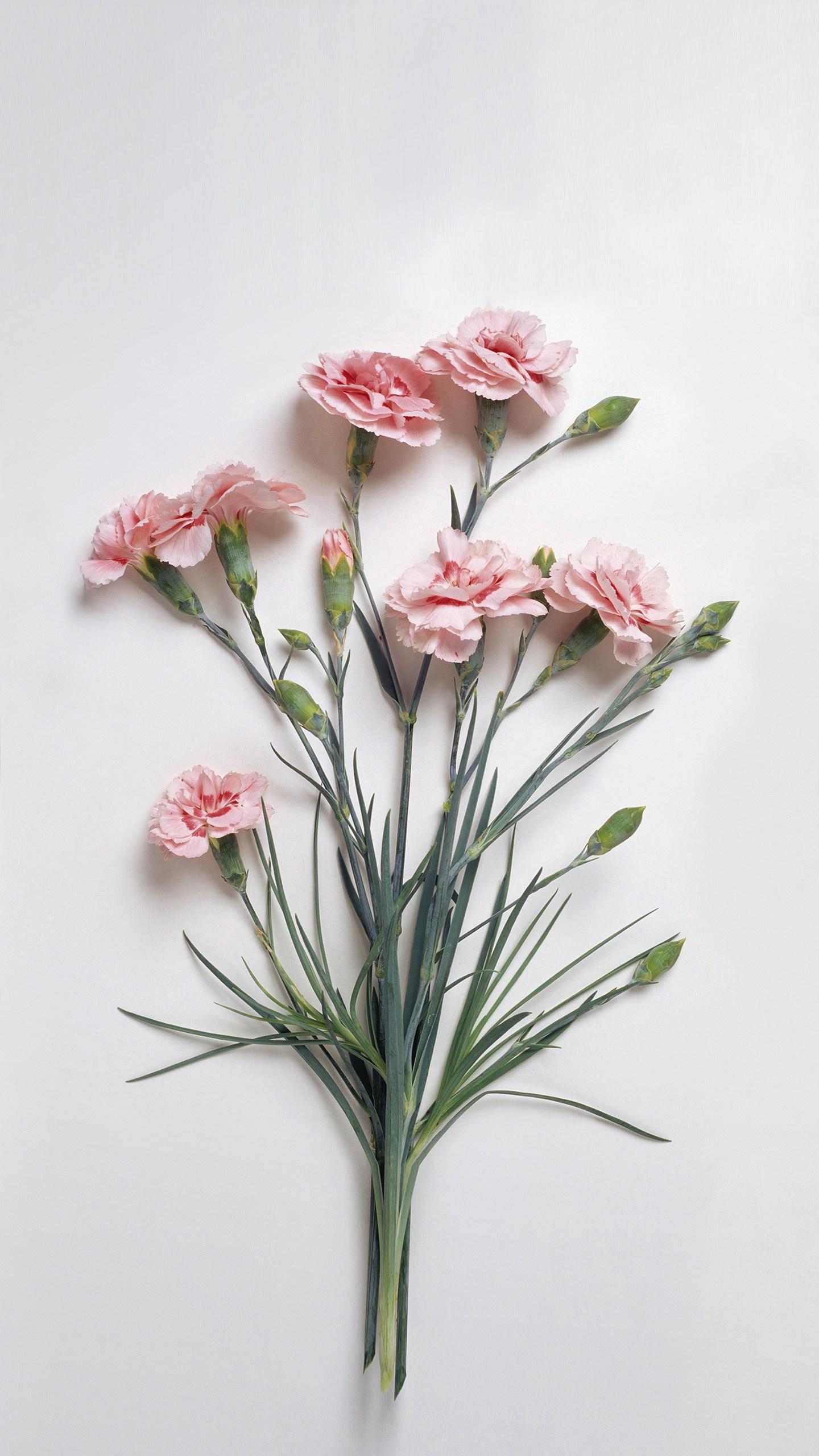 名气大的护肤品真的好用吗,网上风很大的仁和护肤品