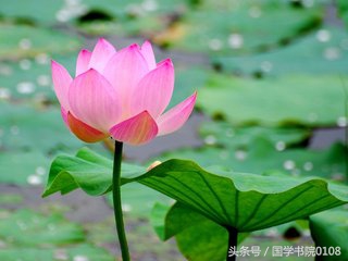 青春向上励志箴言,值得珍藏一生的500条励志箴言