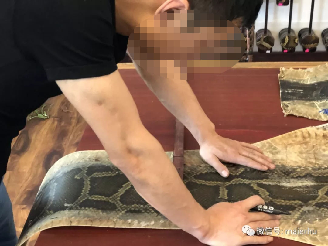 二胡的琴皮选择,二胡琴皮是粗鳞好还是细好