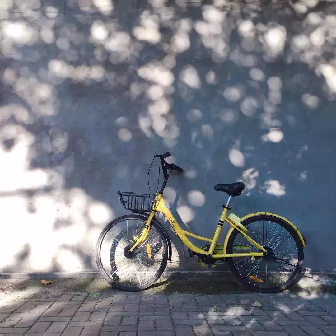 第22届全国摄影大赛征稿,第28届全国摄影艺术展纪实类作品