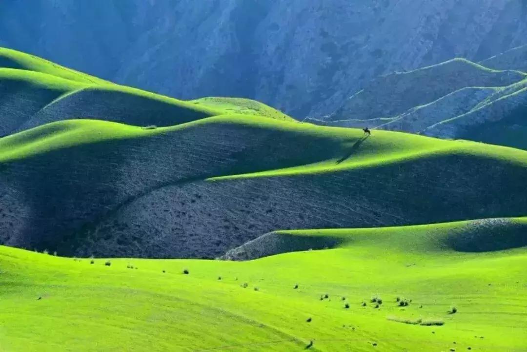 第22届全国摄影大赛征稿,第28届全国摄影艺术展纪实类作品