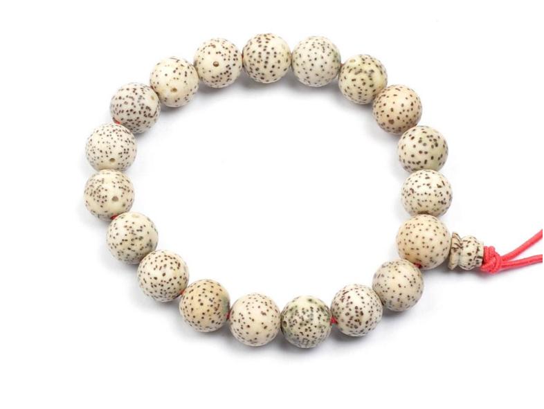 鏄熸湀鑿╂彁鏂囩帺鐭ヨ瘑澶у叏,鏄熸湀鑿╂彁璁茶В瑙嗛