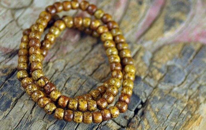 鏄熸湀鑿╂彁鏂囩帺鐭ヨ瘑澶у叏,鏄熸湀鑿╂彁璁茶В瑙嗛