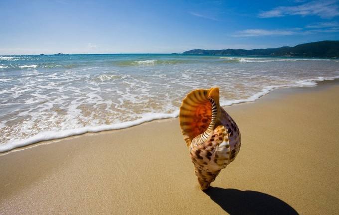 海南世界第一村,海南的世界之最有哪些