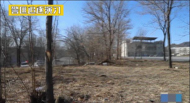 交警特种驾驶训练,看看特警是怎么训练的