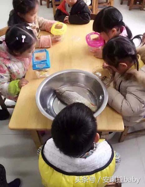 夫妻婚后笑话幽默,结婚之夜幽默笑话段子