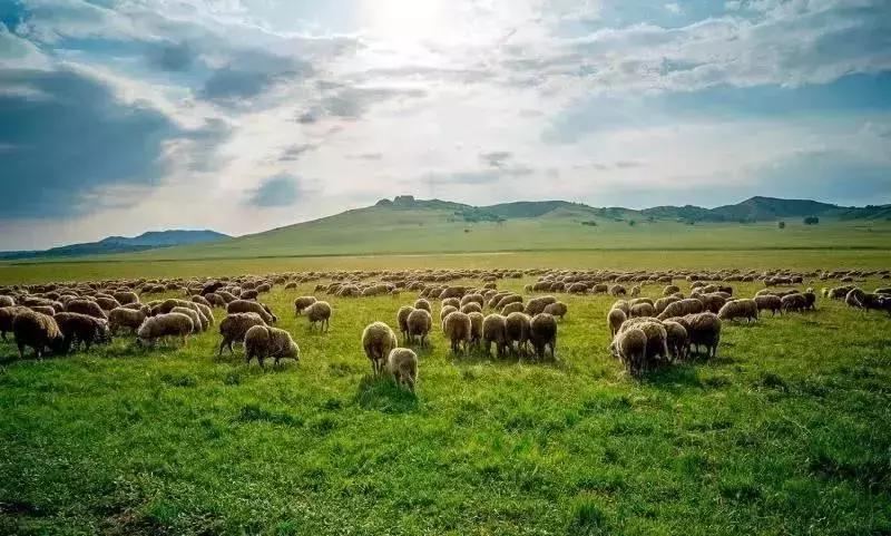 2019京津冀美食文化节,首届京津冀美食文化节