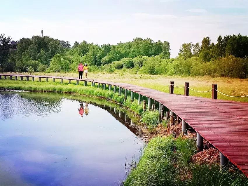 2019京津冀美食文化节,首届京津冀美食文化节