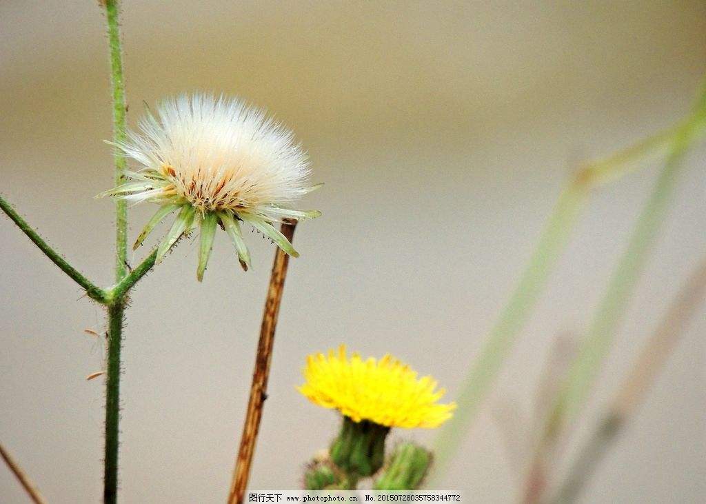 宝妈边带娃边工作能做什么,全职宝妈一边带娃一边做小副业