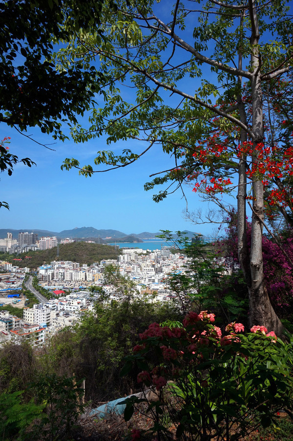 晒黑攻略,晒黑指南