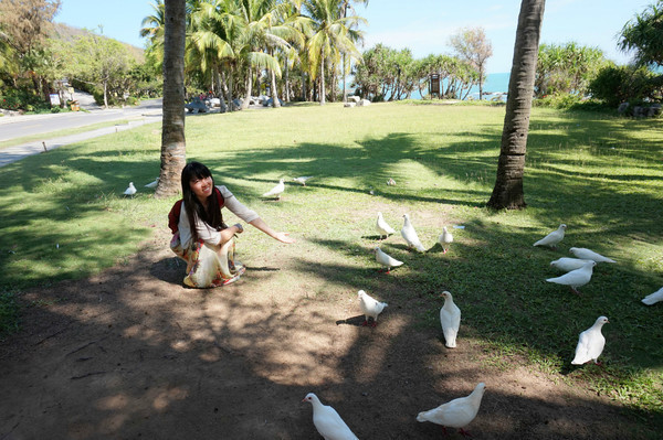 晒黑攻略,晒黑指南