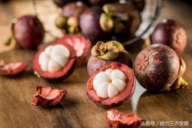 山竹怎么挑选好吃的,怎么样才能买到新鲜的山竹