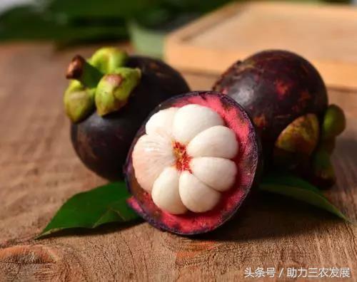 山竹怎么挑选好吃的,怎么样才能买到新鲜的山竹