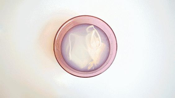 100万日本女性免受妇科病困扰的标配,就是Ta~