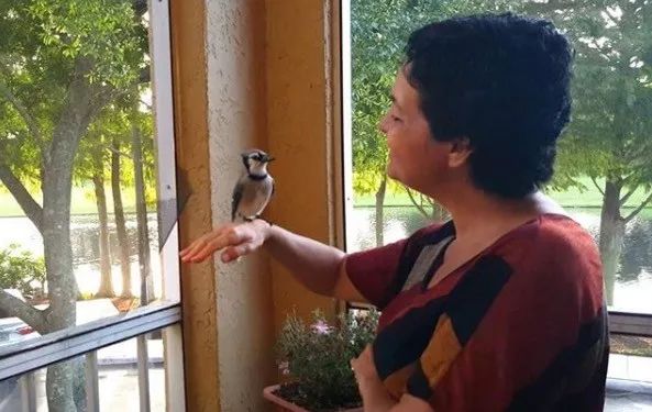 万物皆有灵救小鸟,万物皆有灵有人救了