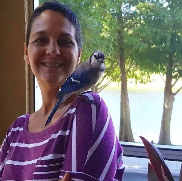 万物皆有灵救小鸟,万物皆有灵有人救了