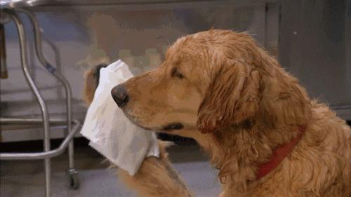 到底如何给孩子补充DHA呢?你要知道这20条