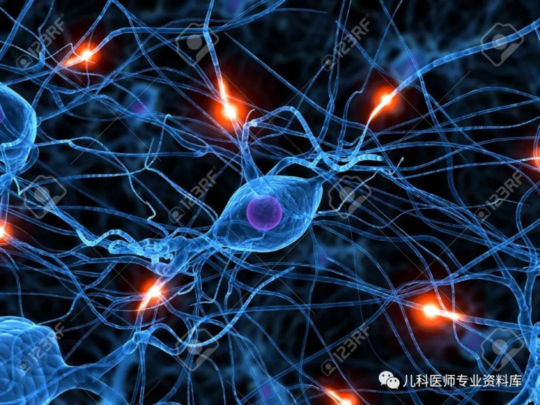 到底如何给孩子补充DHA呢?你要知道这20条