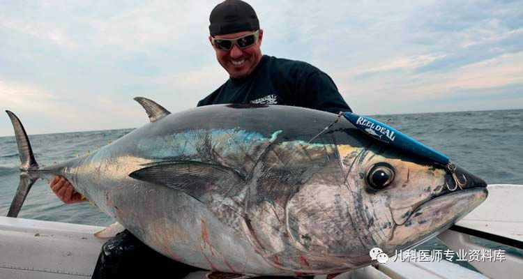 到底如何给孩子补充DHA呢?你要知道这20条