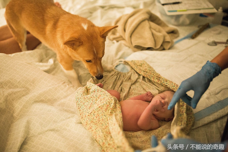 可能你不会知道你家里的这些“家人”是如此的深爱着自己