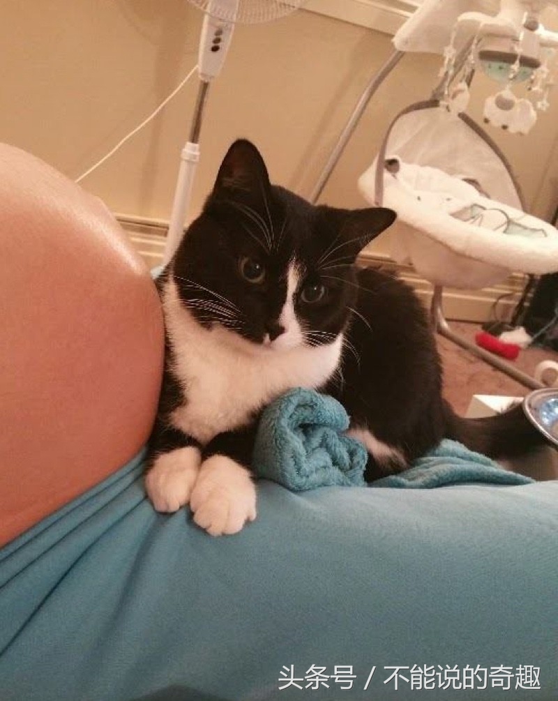 可能你不会知道你家里的这些“家人”是如此的深爱着自己