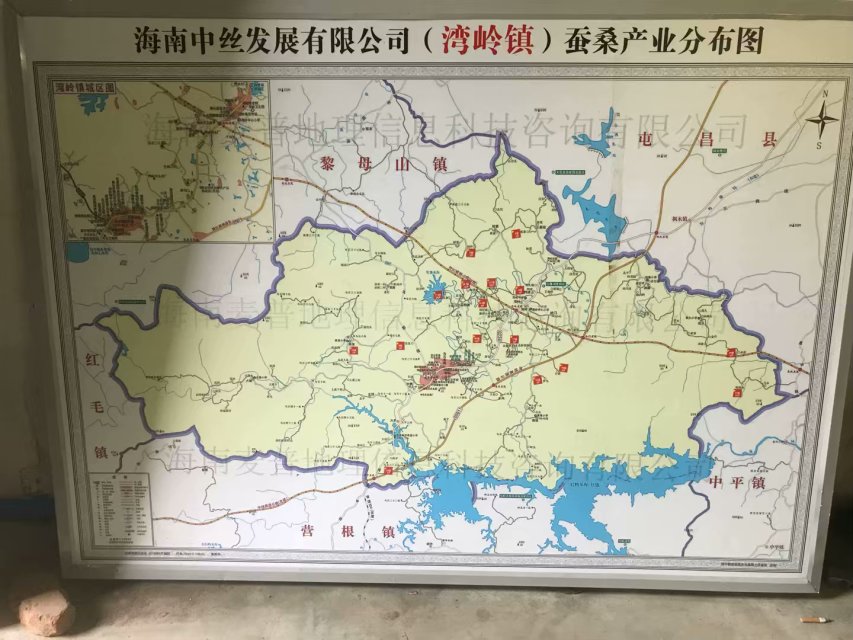 桑养种蚕小科普——你所不知道的蚕宝宝