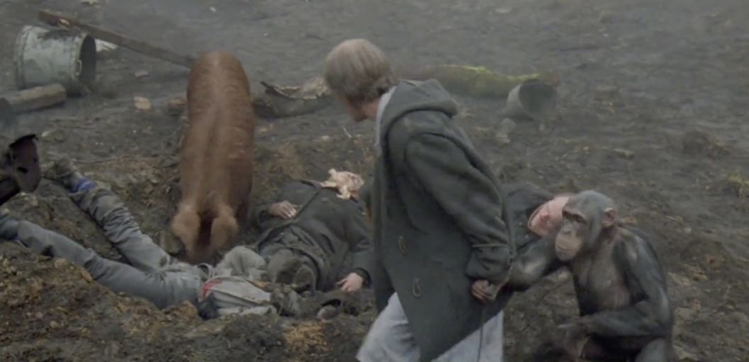 克罗地亚：战火炼出的狠人足球