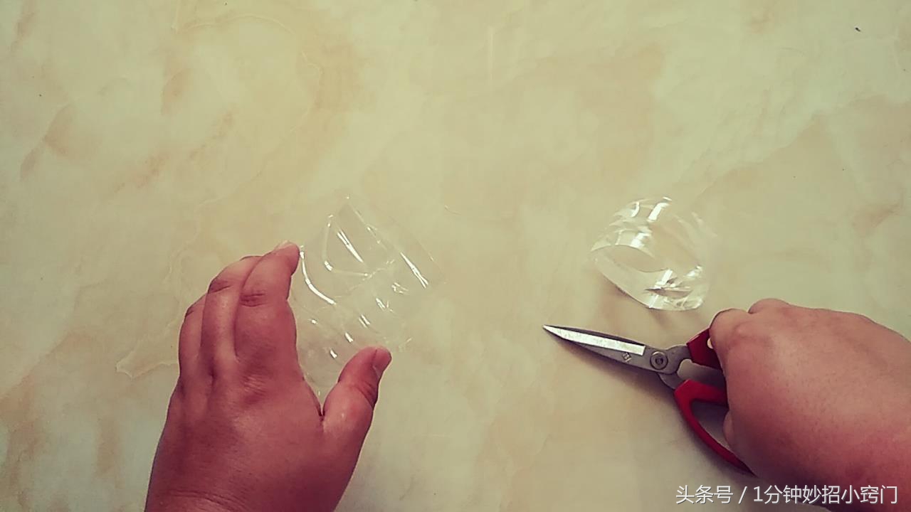 塑料瓶做花盆能管好长时间,饮料瓶制作花盆自带浇水功能