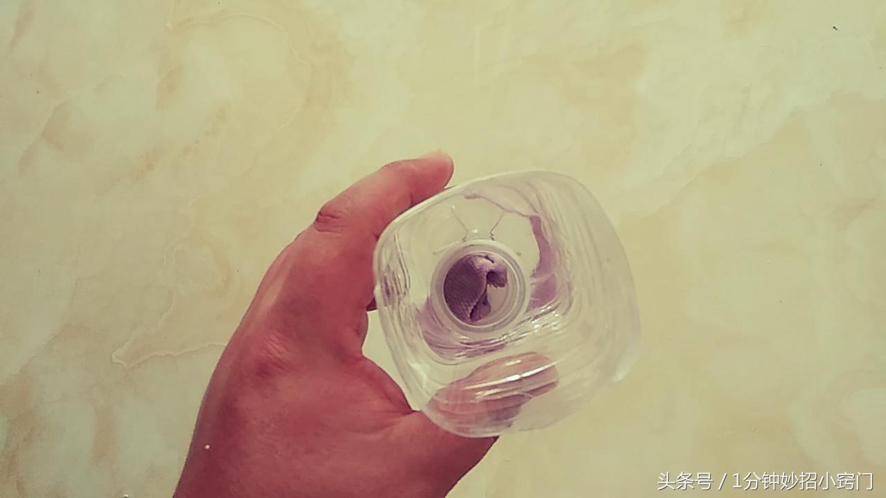 塑料瓶做花盆能管好长时间,饮料瓶制作花盆自带浇水功能