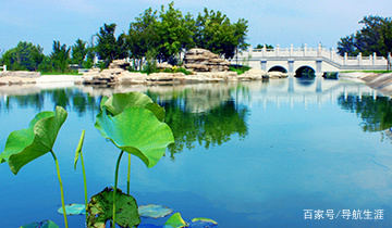 财经类院校及专业详解,财经类院校排名最新