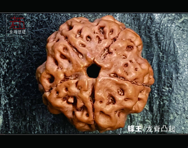 怎样挑选金刚菩提,怎么挑选金刚菩提手串