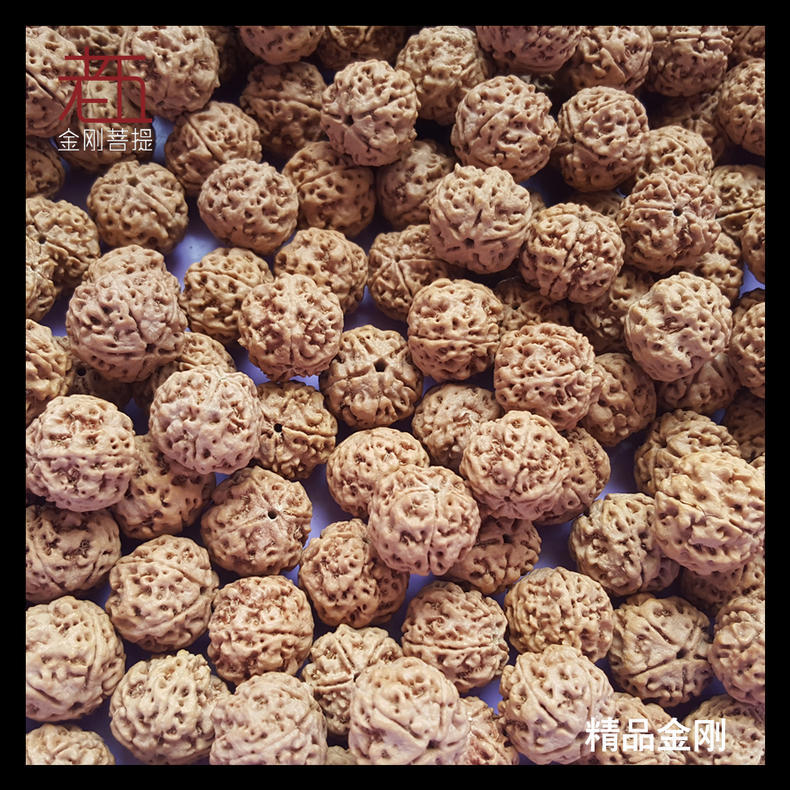 怎样挑选金刚菩提,怎么挑选金刚菩提手串