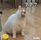 在香港机场入境香港该如何操作,去香港注意什么法律禁令