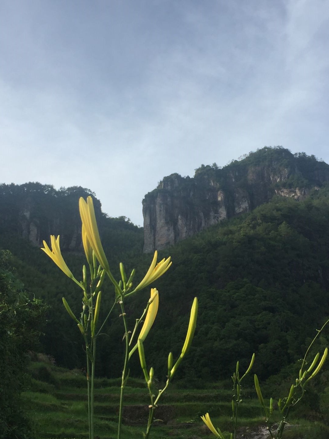 福建闽东特色乡村振兴之路图片,走出一条闽东特色的乡村振兴之路