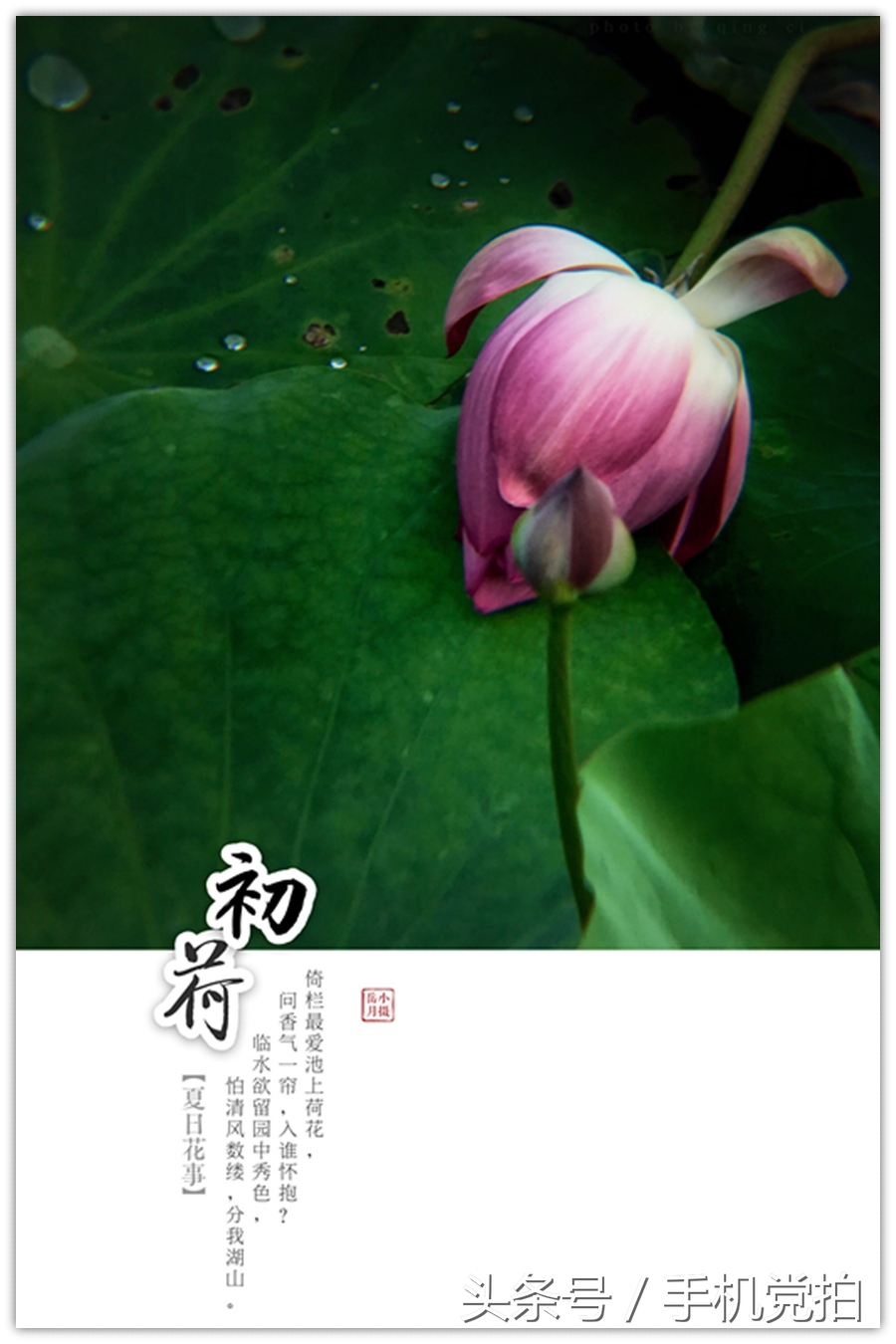 图片加文字小印章,图片如何加透明印章