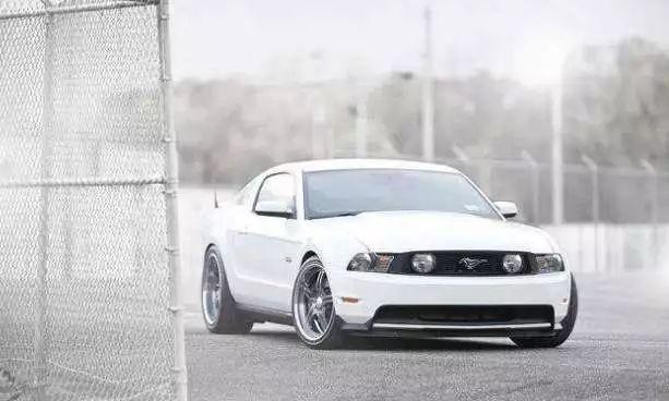 白色车发黄可以恢复吗,白色车发黄怎么洗白