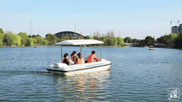 向日葵花海上海旅游攻略,上海市中心有一片向日葵花海