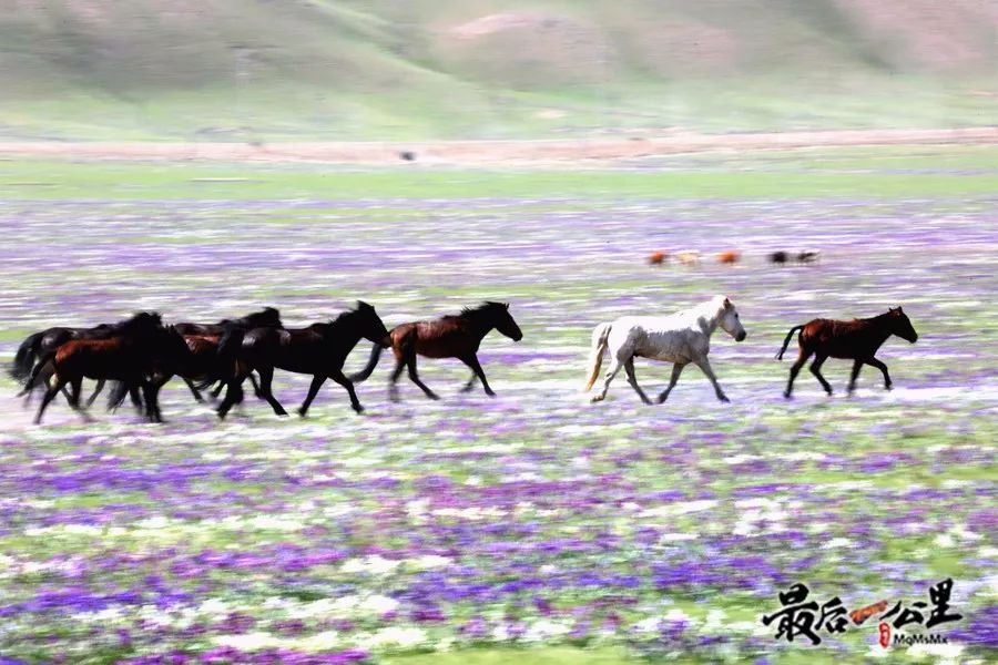 哈密好看的城市,哈密一座生态宜居之城