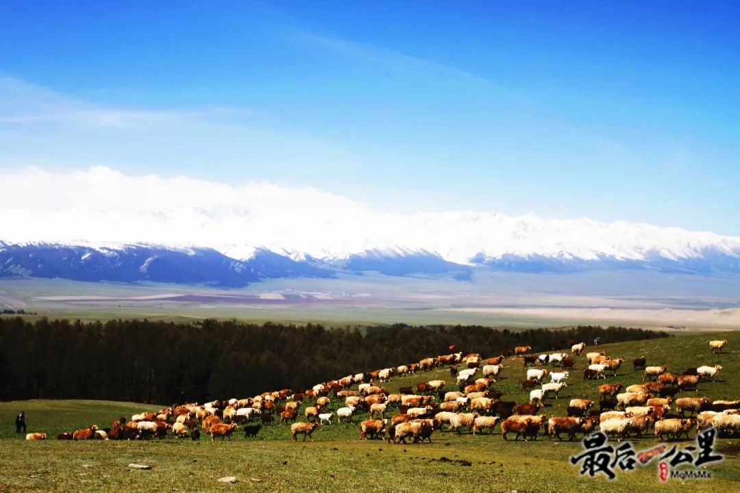 哈密好看的城市,哈密一座生态宜居之城