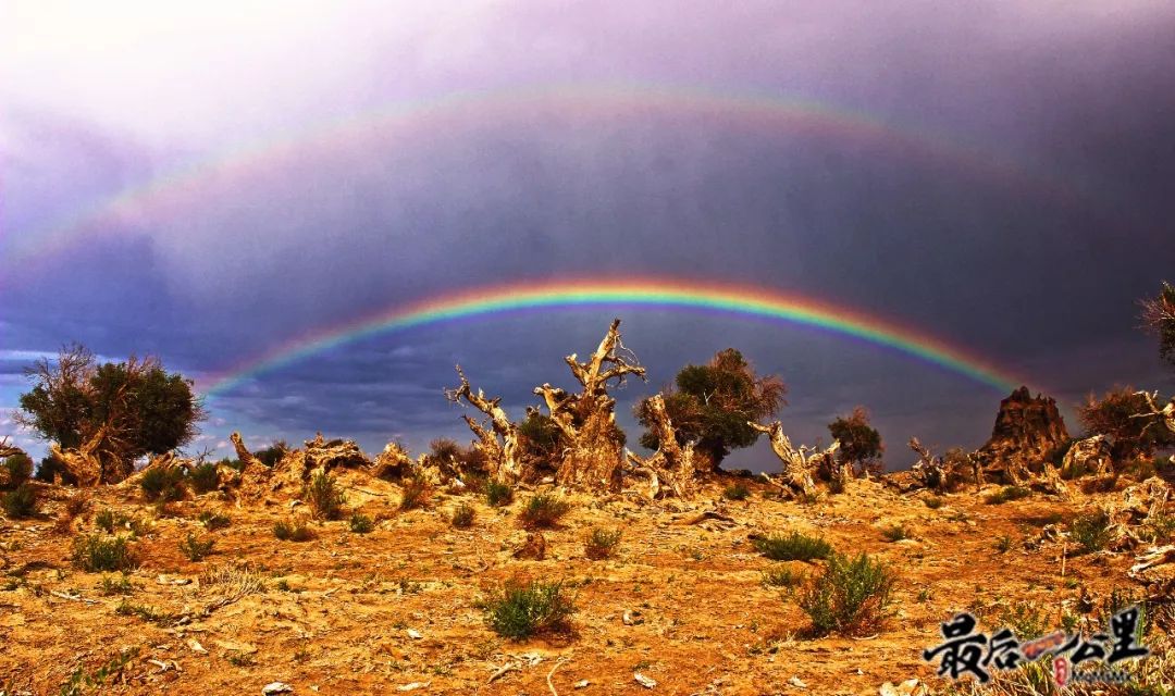 哈密好看的城市,哈密一座生态宜居之城